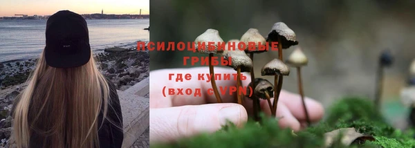 марихуана Приозерск
