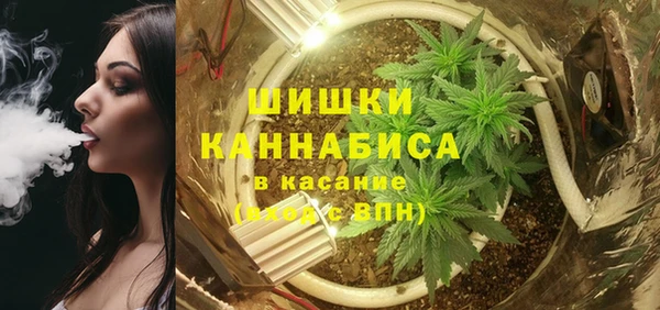 спиды Гатчина