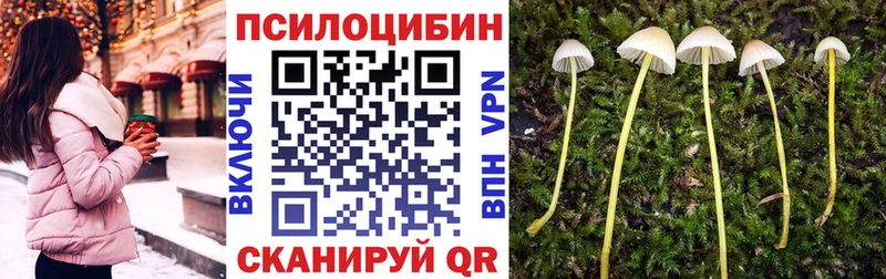 Галлюциногенные грибы Cubensis  Партизанск 